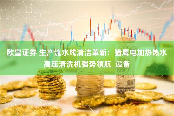 欧皇证券 生产流水线清洁革新：猎鹰电加热热水高压清洗机强势领航_设备